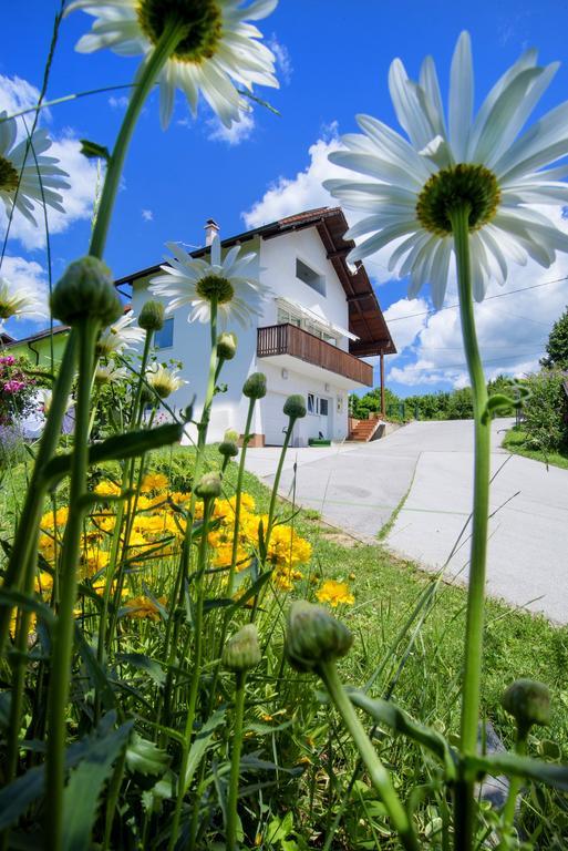 Apartment Bastaja Slunj Εξωτερικό φωτογραφία